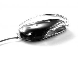 mouse